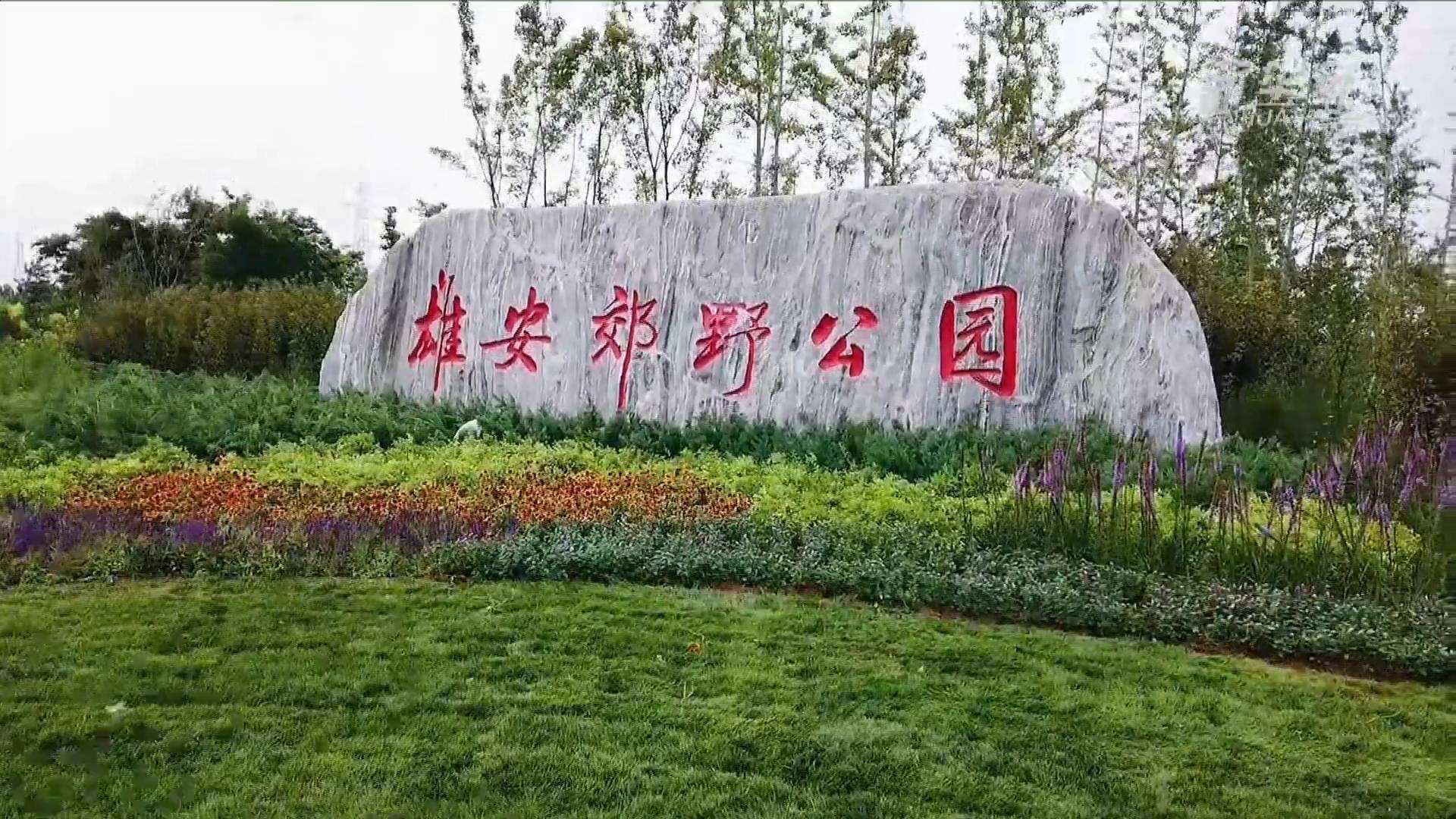CA88电气雄安野外公园建设工程及配套设施项目